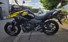 SUZUKI STROM 250 DS11A