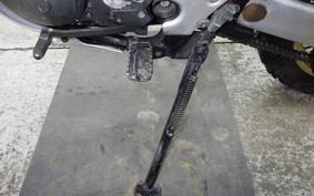 YAMAHA TT250R RAID 4GY