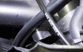 DUCATI DIAVEL Stripe 2014