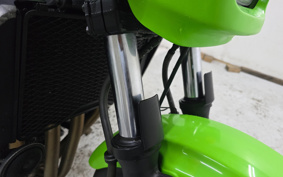 KAWASAKI ZRX1200 R 2009 ZRT20A