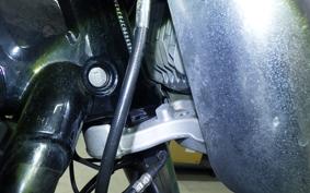 HARLEY FLBS 1870 2018