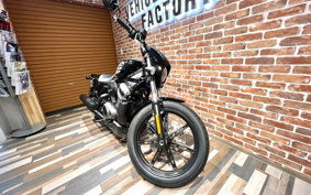 HARLEY  HARLEY RH975 NIGHT  STAR  2022 ZH1