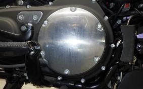 HARLEY XL883N 2020