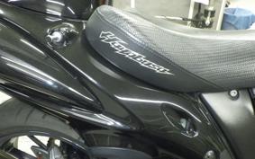 SUZUKI HAYABUSA Gen.2 2007