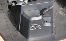 OTHER VEHICLE FUN EVTUKTUK ...