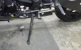 KAWASAKI NINJA ZX-6R A 2019 ZX636G