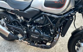 HARLEY  HARLEY X500 2024 W5B