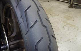 HARLEY FXLRST1920 2024