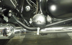 KAWASAKI W800 CAFE 2021 EJ800B