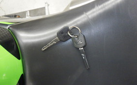 KAWASAKI NINJA 250 2001 EX250L