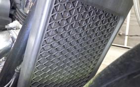 HONDA VT400S 2011 NC46
