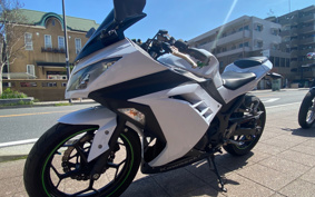 KAWASAKI NINJA 250 EX250L