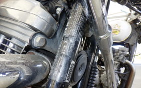 HARLEY XL883LI