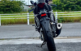 YAMAHA YZF-R25 RG74J