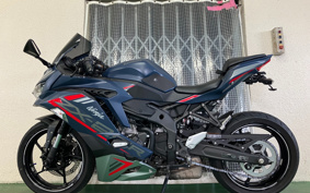 KAWASAKI NINJA ZX-25R SE ZX250E