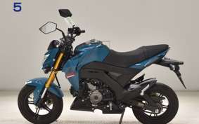 KAWASAKI Z125 PRO 2005 BR125H