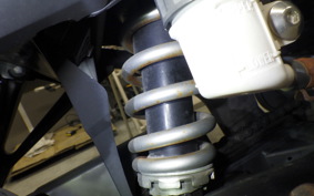 YAMAHA YZF-R25 2023 RG10J