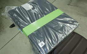 TRIUMPH SCRAMBLER400X 2025