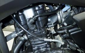 SUZUKI Vｽﾄﾛｰﾑ250A 2012