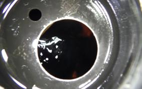 HARLEY FLSTF 1580 2008