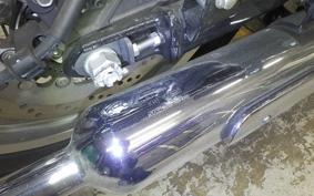 KAWASAKI W800 2022 EJ800E