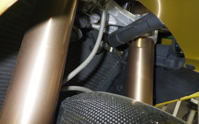 TRIUMPH DAYTONA 675 SE 2013