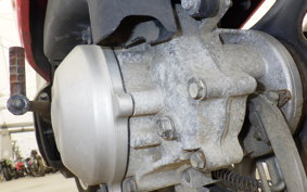 HONDA GIORNO CREA AF54