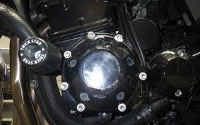 KAWASAKI ZRX1200 D 2009 ZRT20D