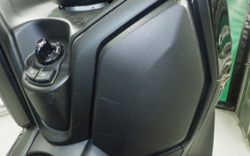 YAMAHA X-MAX 250 2021 SG70J