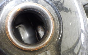 YAMAHA VIRAGO 250 3DM