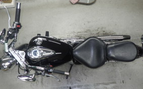 YAMAHA DRAGSTAR 250 2019 VG05J