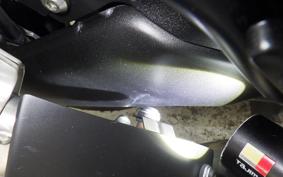 KAWASAKI NINJA 1000 2015
