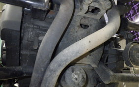 HONDA REBEL 1100 DCT 2021 SC83