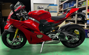 DUCATI PANIGA-REV4 2025 5D00