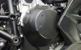KAWASAKI NINJA H2 SX 2018 ZXT02A