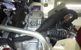 HONDA C110 SUPER CUB 2011 JA59