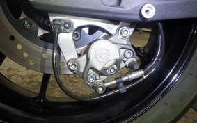 DUCATI MONSTER 937 + 2024