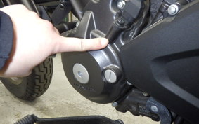 HONDA REBEL 250 S 2025 MC49