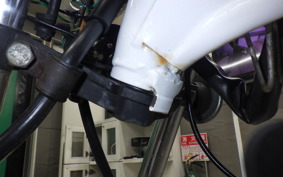 OTHER +UNREGISTERED MODEL by BDS125 2011