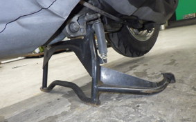 HONDA LEAD 110 JF19