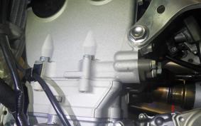 KAWASAKI KX250 2025 KX252E