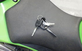 KAWASAKI NINJA 250R 2019 EX250K