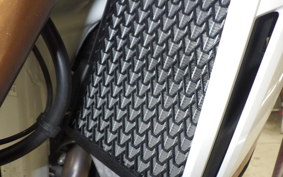 HONDA CRF1100L AFRICA TWIN DCT 2020 SD10