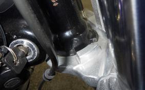 HARLEY FXDL 1580 2007