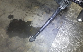 KAWASAKI NINJA1100SX 2025