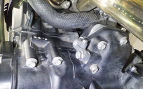 KAWASAKI Z900RS 2021 ZR900C