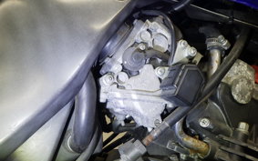 HONDA HORNET 250 MC31