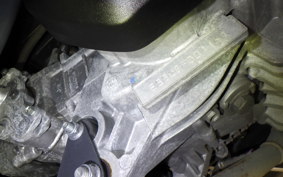 YAMAHA CYGNUSｸﾞﾘﾌｧｽ 2024 SEJ4J