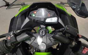 KAWASAKI NINJA 250 EX250L