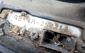 SUZUKI ADDRESS V100 CE11A